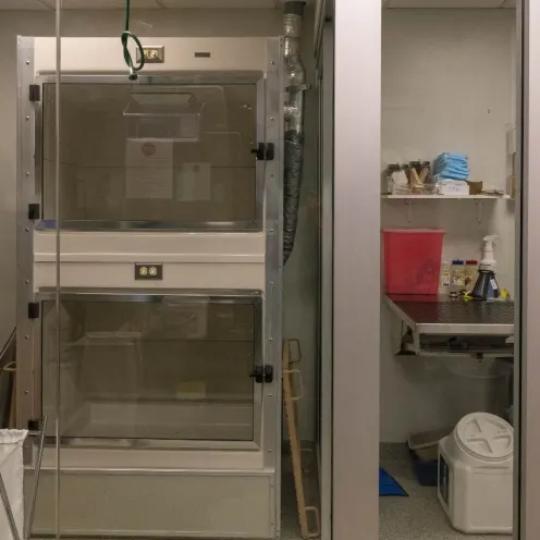 Isolation space in West Village Veterinary Hospital.